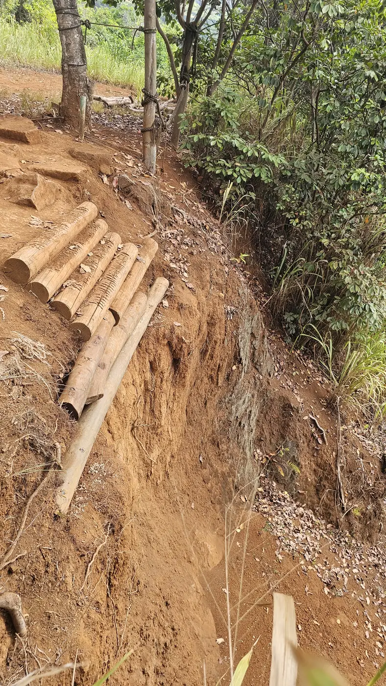 The same bank with log crib steps