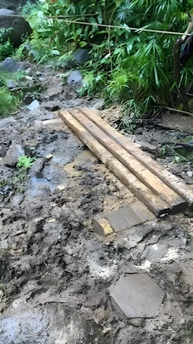 Bog bridge laid over deep mud