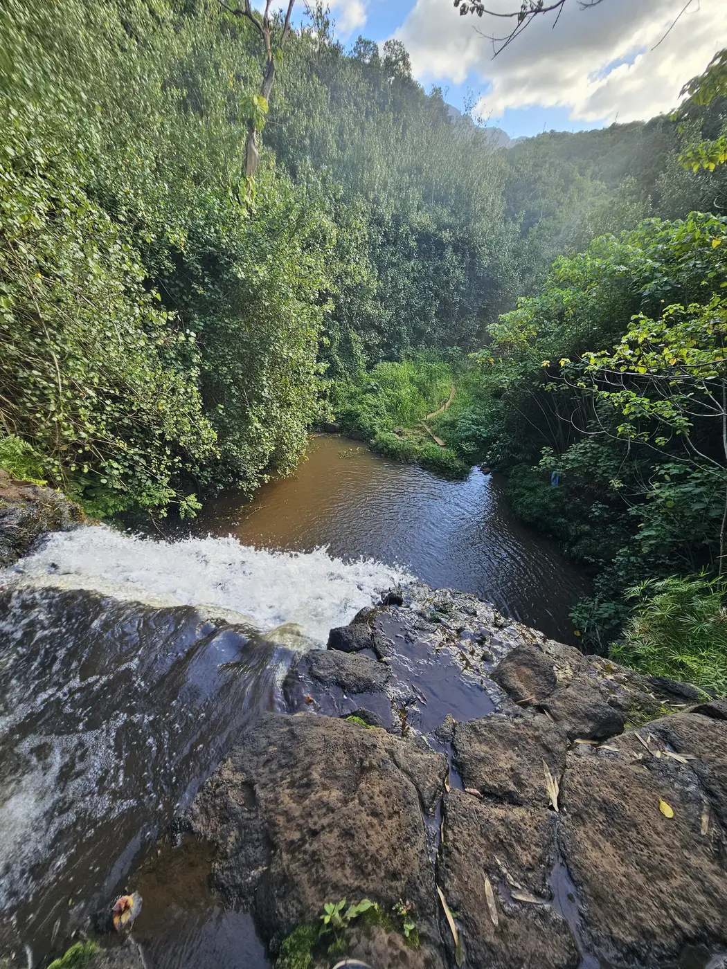 Looking down from the top of a waterfall into a jungle canyon and its pool