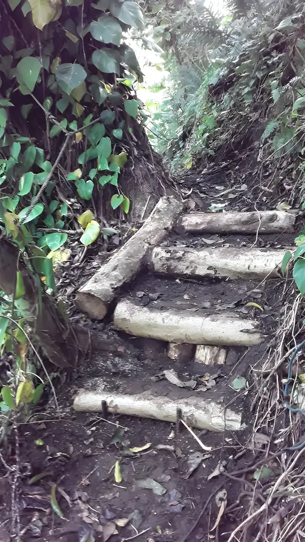 Log steps on a switchback