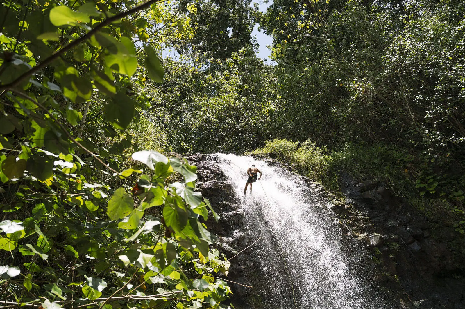 Guide on rope beside a jungle waterfall