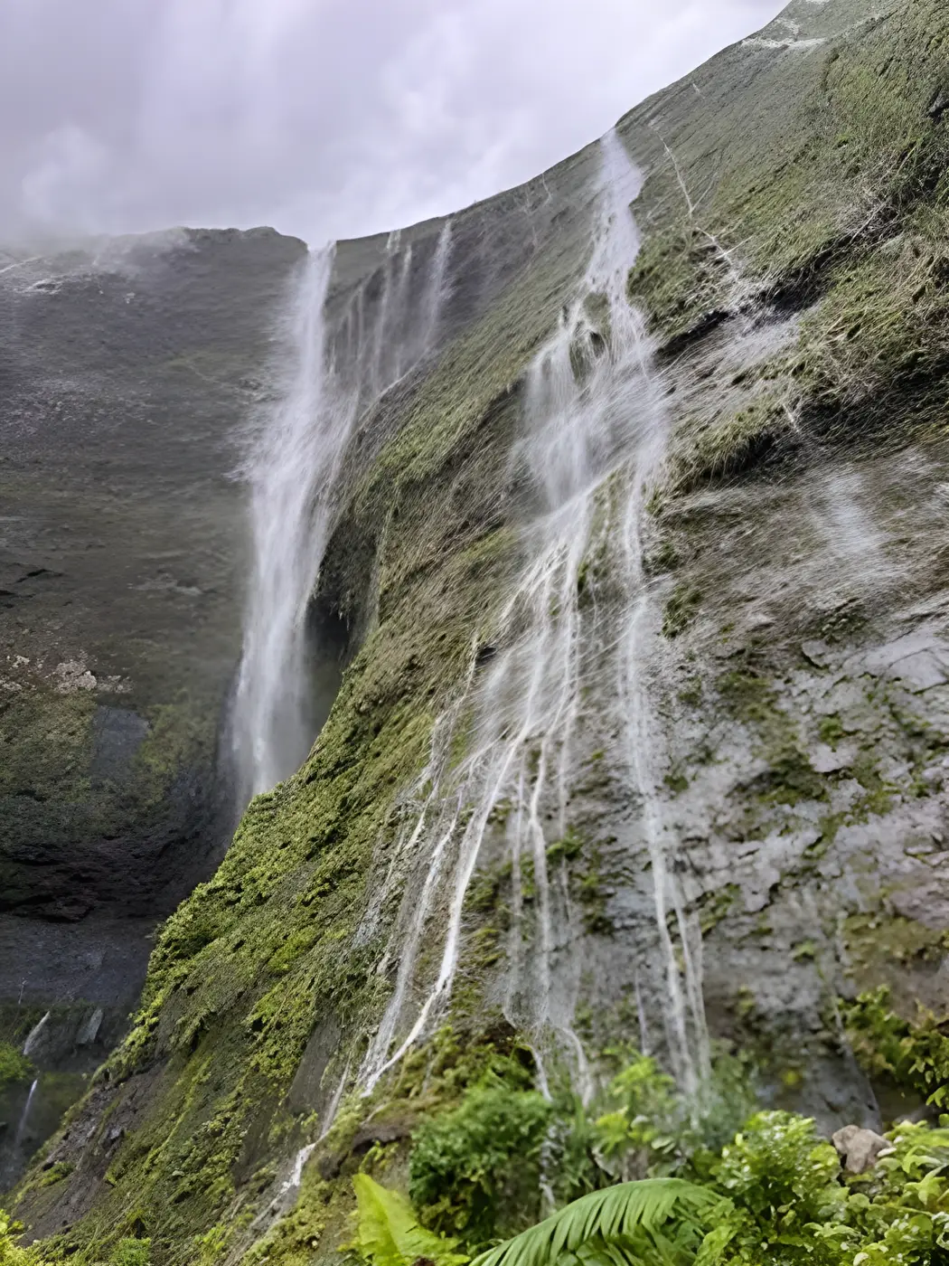 Dozens of thin waterfalls streaming down a green cliff wall in Kauai's interior
