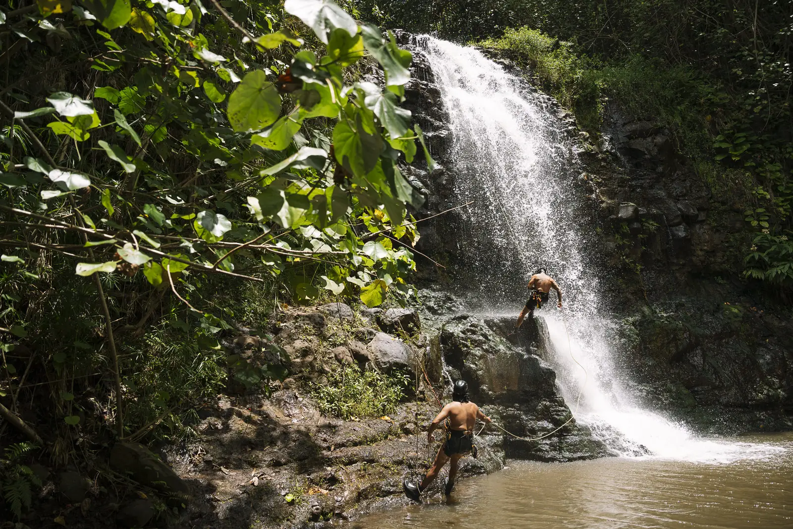 A rappeller on a jungle waterfall on Kauai with a guide below in the pool