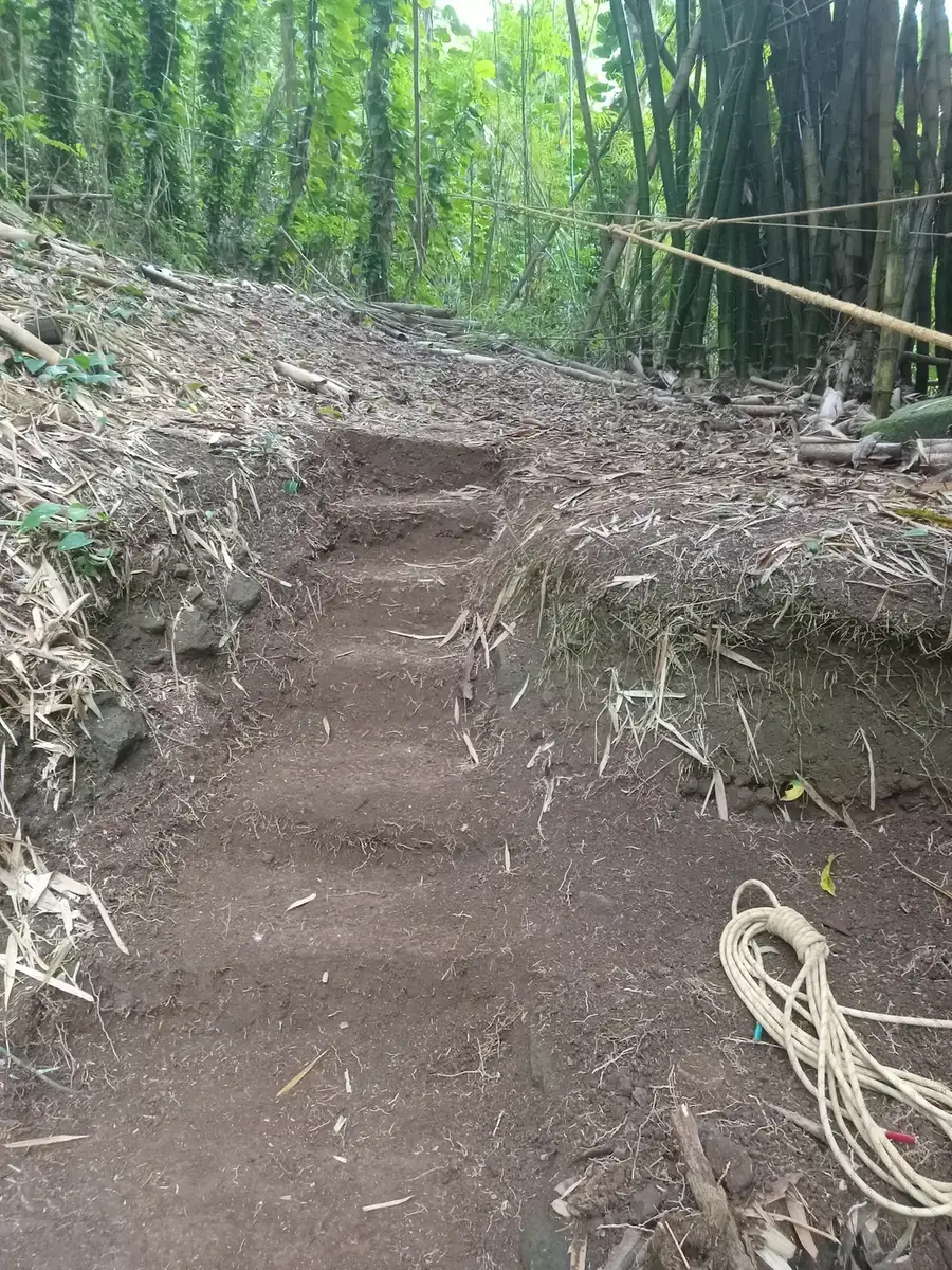 The same slope cleared, with steps cut into the hill and rope coiled beside them
