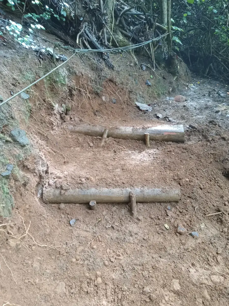 Two log check steps set across a freshly dug trail, held by stakes