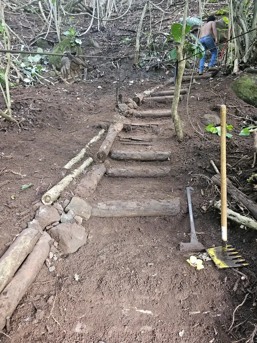A long staircase of log steps climbing through jungle with a rake and tamper beside it and a crew member at the top