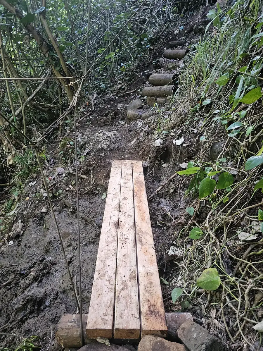 A plank bridge on wooden sills carrying the trail over a wet, muddy section