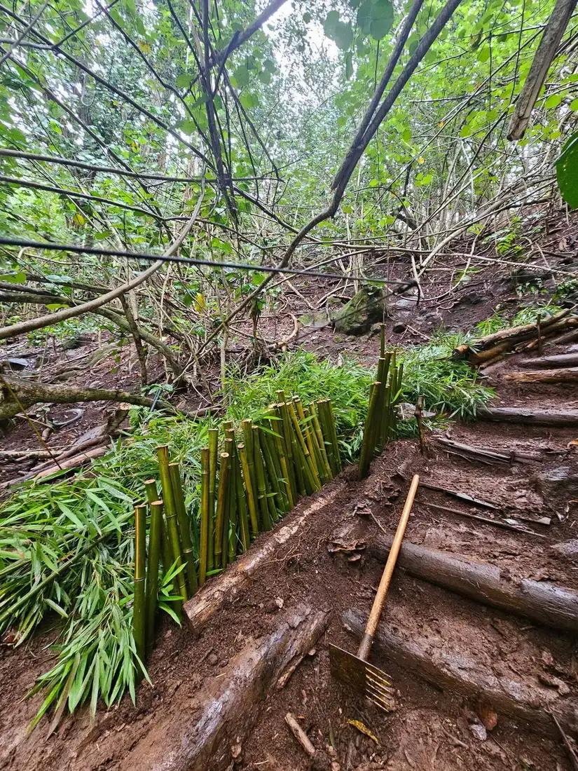 Steps with a bamboo handrail on a wet trail